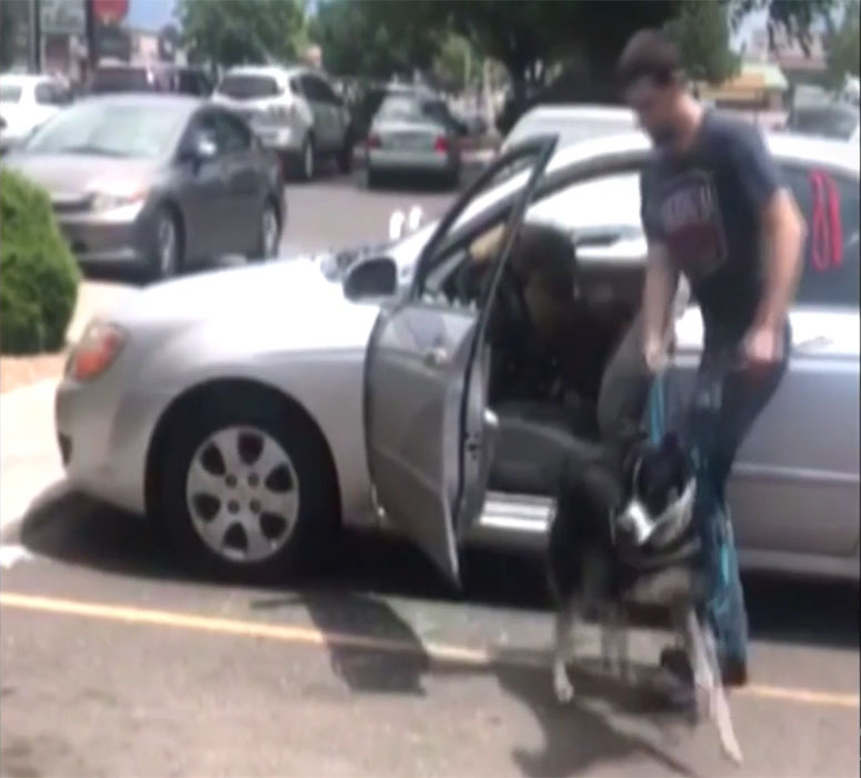 El momento en que un hombre libera a un perro encerrado en un automÃ³vil